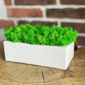 Кашпо со стабилизированным мхом Woodhouse Brick white декор для дома офиса