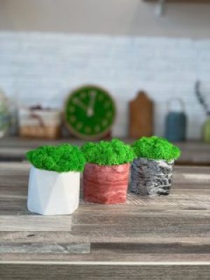 Кашпо со стабилизированным мхом Woodhouse Urban trio декор для дома офиса