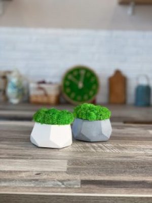 Кашпо со стабилизированным мхом Woodhouse Octa grey & white duo декор для дома офиса