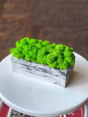 Кашпо со стабилизированным мхом Woodhouse Brick B&W декор для дома офиса