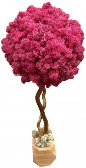 Дерево из стабилизированного мха SO Green в деревянном горшке розовое 50 см (006580)