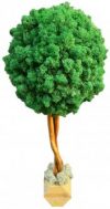 Дерево из стабилизированного мха SO Green в деревянном горшке темно-зеленое 35 см (006378)