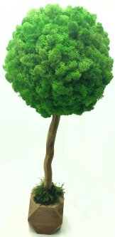 Дерево из стабилизированного мха SO Green в деревянном горшке зеленое яблоко 50 см (006579)