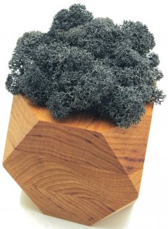 Стабилизированный мох SO Green Соу Грин черный в деревянном шестигранном горшке 8×8 см (002252)