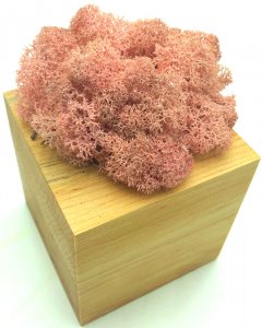 Стабилизированный мох SO Green Соу Грин розовый в деревянном горшке 8×8 см (00262)