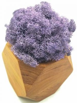 Стабилизированный мох SO Green Соу Грин фиолетовый в деревянном шестигранном горшке 8×8 см (002267)