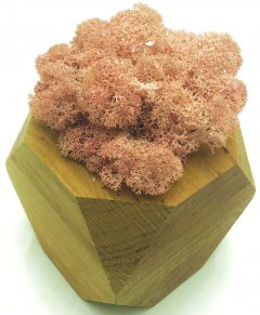 Стабилизированный мох SO Green Соу Грин розовый в деревянном шестигранном горшке 8×8 см (002262)