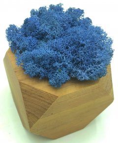 Стабилизированный мох SO Green Соу Грин синий в деревянном шестигранном горшке 8×8 см (002274)
