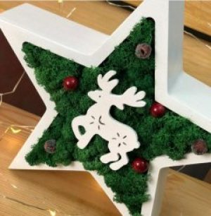 Новогодняя звезда Vstavai Sonce со стабилизированного Мха с декором 21*4