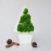 Елочка со мхом. Новогодний сувенир со мхом