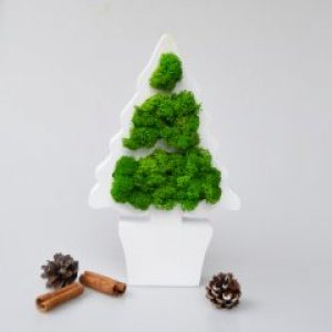 Елочка со мхом. Новогодний сувенир со мхом