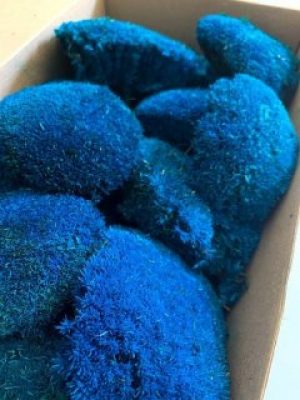 Стабилизированный мох кочки Green Ecco Moss Голубой 1 кг