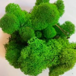 Стабилизированный мох ягель Deco Зелёный травяной 1 кг