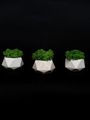 Набор из 3-х кашпо со стабилизированным мхом "Little Kashpo 2 Wite"