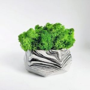 Стабилизированный мох в бетонном горшке Geom 11х10 см (черный мрамор)