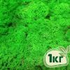 Стабилизированный мох ягель Nordic moss Зеленый травяной светлый 1 кг