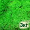 Стабилизированный мох ягель Nordic moss Зеленый травяной светлый 3 кг