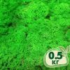 Стабилизированный мох ягель Nordic moss Зеленый травяной светлый 0