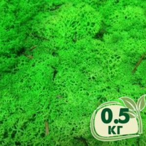 Стабилизированный мох ягель Nordic moss Зеленый травяной светлый 0