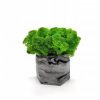 Стабилизированный мох в бетонном горшке Hexagon 7х10 см (черный мрамор)