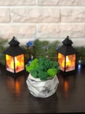 Кашпо куб мраморный с живым мхом микс зеленый салатовый 11*10 см