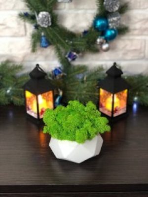 Кашпо диамант белый ручной работы со стабилизированным мхом салатовый 13*11 см