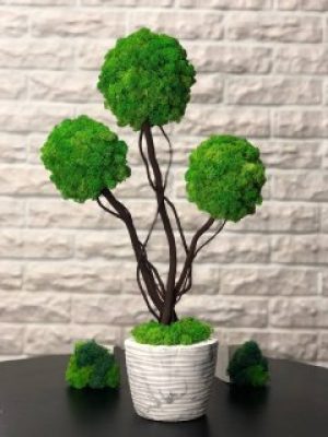 Дерево ручной работы со стабилизированным мхом салатовый 50-60 см