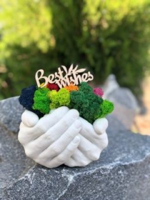 Кашпо руки ручной работы со стабилизированным мхом микс зеленого желтый синий оранжевый розовый салатовый фуксия 14*16 см