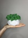 Кашпо диамант белый ручной работы со стабилизированным мхом зелёный 13*11 см