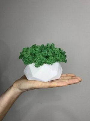 Кашпо диамант белый ручной работы со стабилизированным мхом зелёный 13*11 см