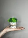 Кашпо мраморное ручной работы со стабилизированным мхом микс зелёный салатовый 8*7 см