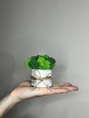 Кашпо мраморное ручной работы со стабилизированным мхом микс зелёный салатовый 8*7 см
