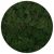 Стабилизированный мох ягель Nordik moss Зеленый светлый 50 грамм