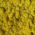 Стабилизированный мох ягель Nordik moss Желтый лимонный 50 грамм