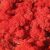 Стабилизированный мох ягель Nordik moss Красный 50 грамм
