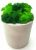 Стабилизированный мох SO Green Соу Грин в горшке из гипса 10 × 7,5 см (00101)