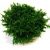 Мох стабилизированный Green Ecco Moss Прованс Обычный 1 кг.