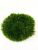 Мох стабилизированный Green Ecco Moss Прованс Королевский 100 гр.