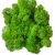 Мох стабилизированный Green Ecco Moss Норвежский Зеленый Лайт 100 гр.