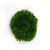 Мох стабилизированный Green Ecco Moss Прованс Королевский 250 гр.
