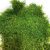 Мох стабілізований Green Ecco Moss Плоский темно Зелений 100 гр.