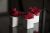 Набор декоративный Скандинавский мох в белом бетонном кашпо красный 3 шт