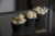 Набор декоративный Скандинавский мох в черном бетонном кашпо «Кекс» бежевый 3 еденицы
