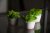 Набор декоративный Скандинавский мох в бело-розовом бетонном кашпо зеленый 3 шт