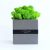 Настольный эко декор со скандинавским мхом Hi-Forest Cube (серый/зеленый) для дома, офиса, кафе. Деревянный куб 9х9х9 см. Подарочная упаковка.