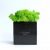 Настольный эко декор со скандинавским мхом Hi-Forest Cube (черный/зеленый) для дома, офиса, кафе. Деревянный куб 9х9х9 см. Подарочная упаковка.