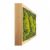 Картина SmartBotanica из стабилизированного мха 70*20 см в деревянной рамке цвет охра