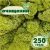 Очищенный стабилизированный мох ягель Nordic moss Зеленый светлый 250 грамм