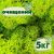 Очищенный стабилизированный мох ягель Nordic moss Зеленый весенний 5 кг
