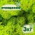 Очищенный стабилизированный мох ягель Nordic moss Зеленый весенний 3 кг